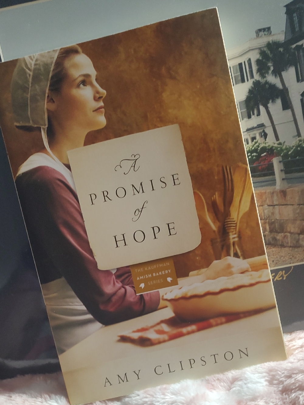 A Promise of Hope by Amy Clipston 📚/2010